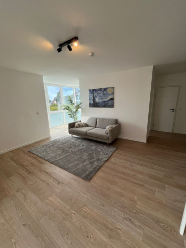 Bright, newly renovated apartment with smart home features & luxury bed – first occupancy