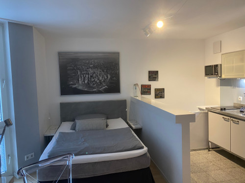 Möbliertes Studio Apartment Düsseldorf Unterbilk