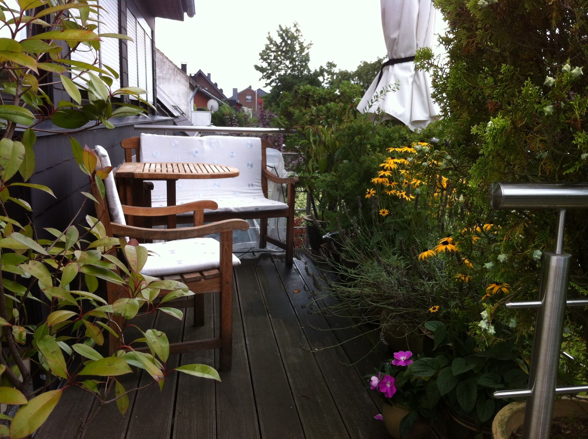  Cozy, Fashionable Studio  -  Cozy, fashionable studio  - Gallery -  11