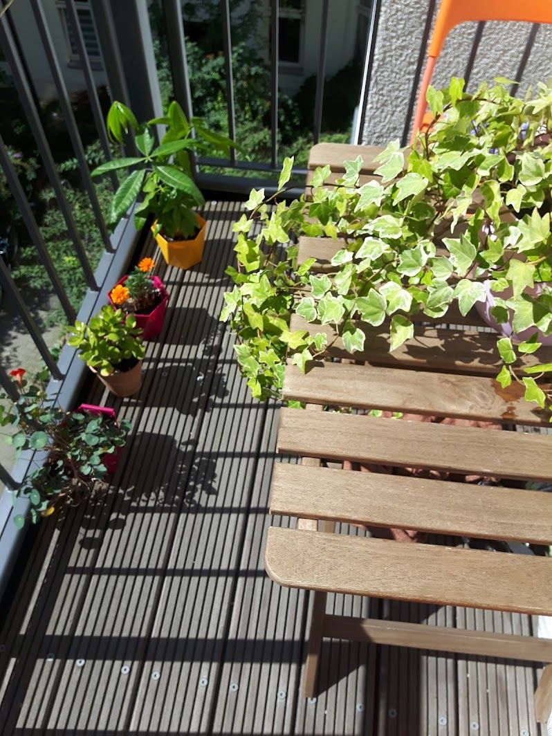  Spacious, Sunny, Quiet Flat With A Balcony Located In The Heart Of Prenzlauer Berg  -  Spacious, Sunny, Quiet Flat with a Balcony Located in the Heart of Prenzlauer Berg  - Gallery -  5