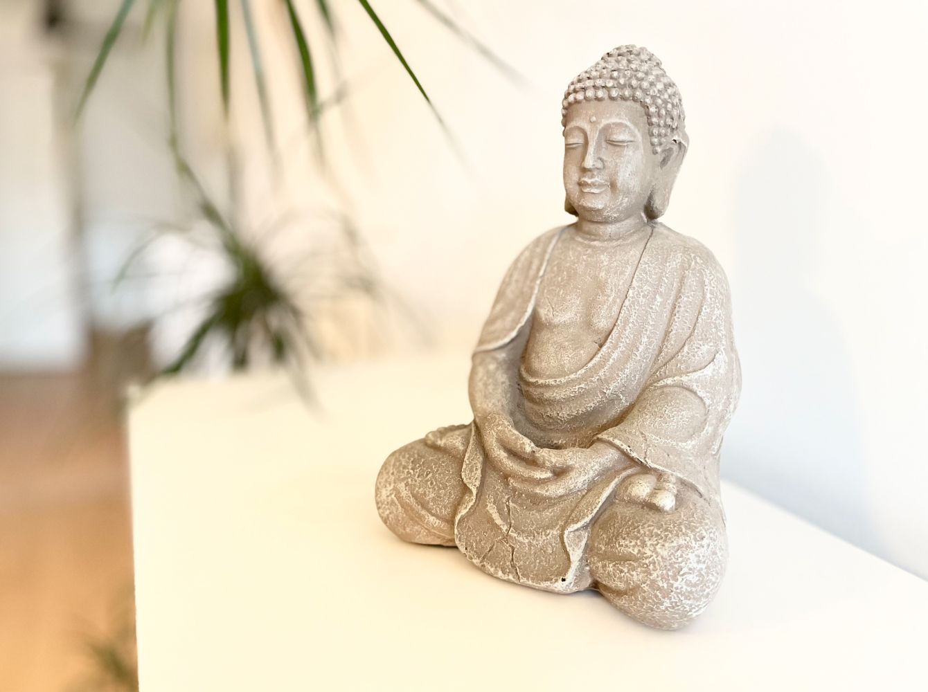  Furnished 1-Room Apartment With Balcony In Prenzlauer Berg  -  Furnished 1-room apartment with balcony in Prenzlauer Berg  - Gallery -  4