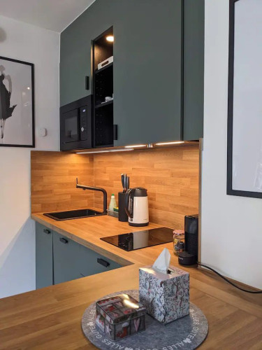 Fully furnished modern and stylish Studio Apt.