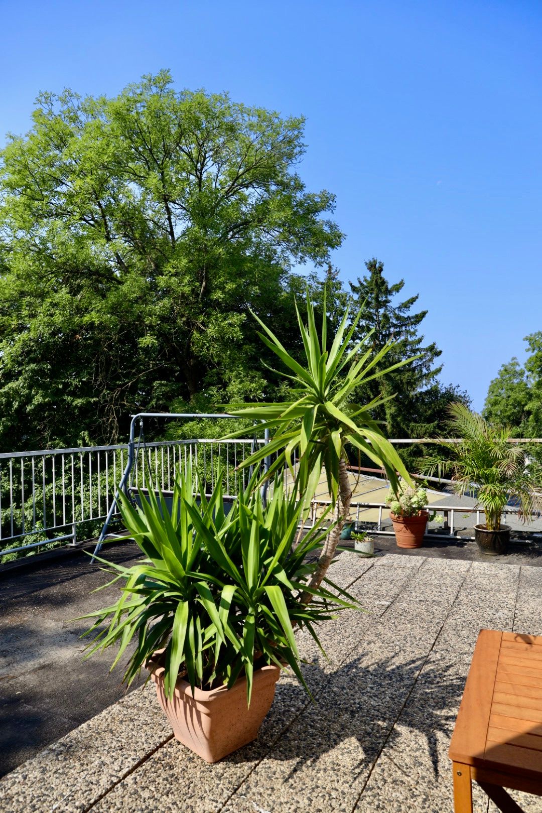  New Suite In Remscheid  -  New suite in Remscheid  - Gallery -  7