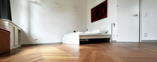 Cute, amazing suite in popular area