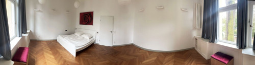 Cute, amazing suite in popular area