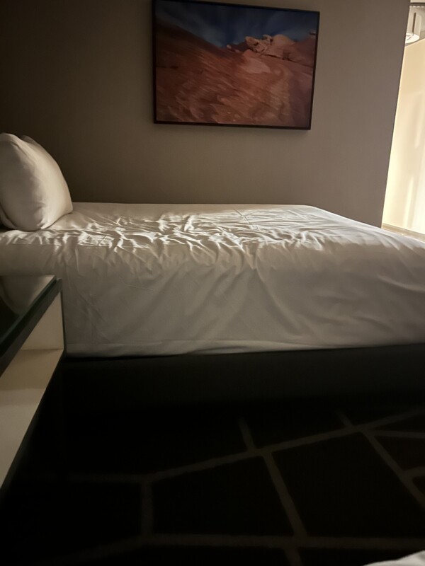 Cozy Room(Full Room) - Cozy Apartment Host in Dallas – Cat - Gallery - 1