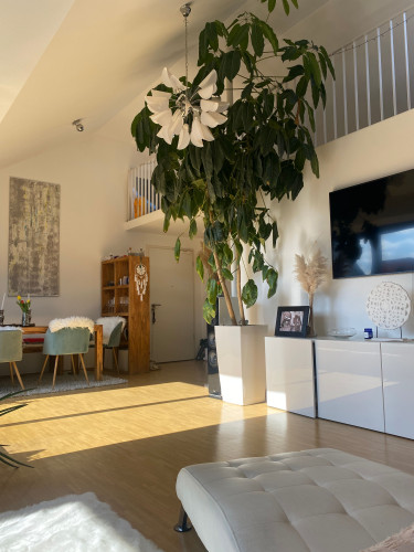 Stylish Boho Penthouse with Terrace in Munich-Sendling | Fully Furnished