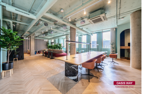 Oasis Way  - Gallery -  4