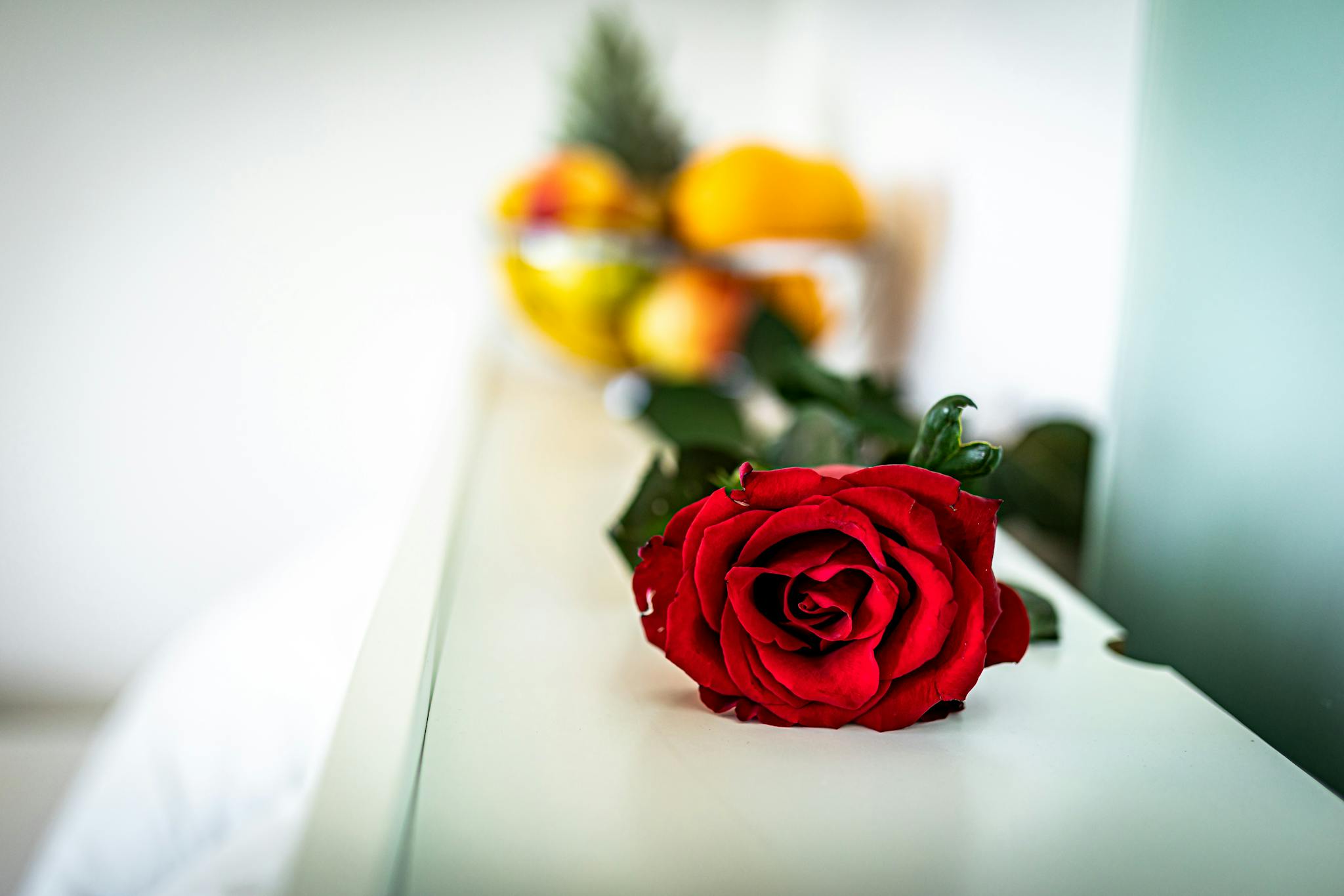  Entire Place  -  Hütteldorfer Straße, Vienna  - Gallery -  1