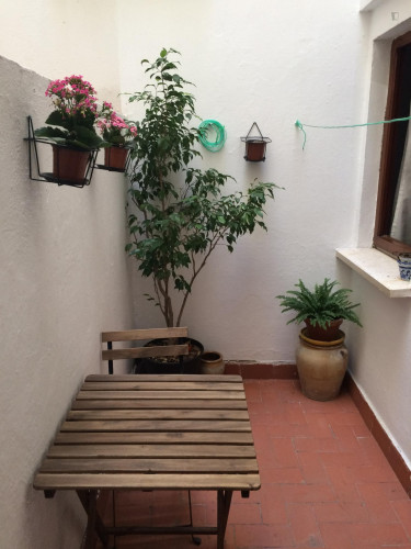Homely double bedroom in a 4-bedroom flat, near Universitat Politècnica de València's main campus