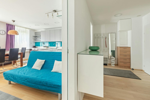 Praterstraße, Vienna