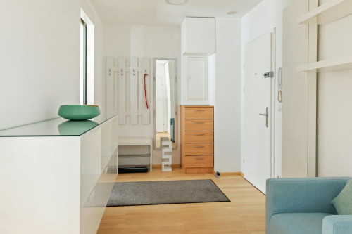 Praterstraße, Vienna
