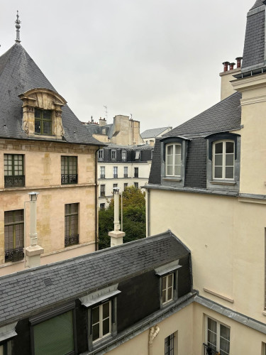 Bright High-End Luxurious Flat in Le Marais