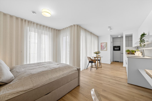 Maximin City Studio - upscale apartment near Porta Nigra / parking incl. - Gallery - 36