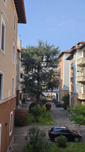 Viale Tibaldi, Milan