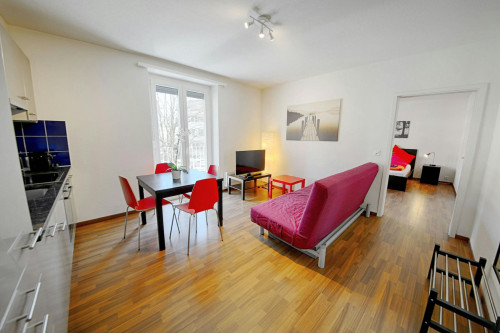 Schwamendingenstrasse, Zürich