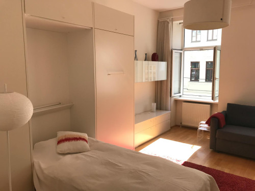 Spittelbreitengasse, Vienna