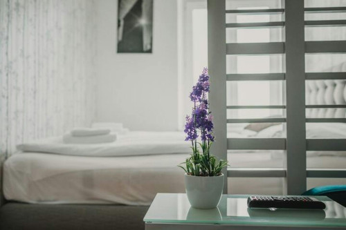 Johnstraße, Vienna  - Gallery -  5