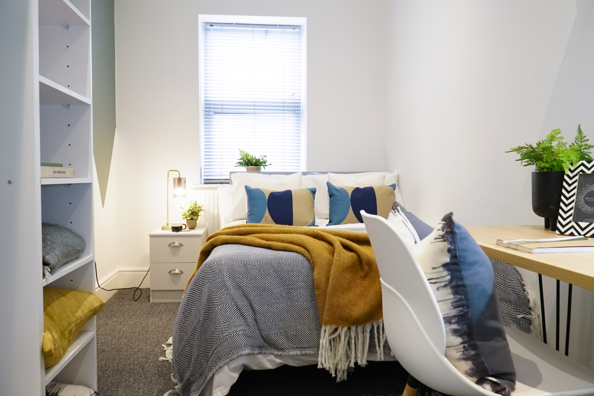  5 Bedroom House (14 Driffield Street)  -  Driffield Street  - Gallery -  4