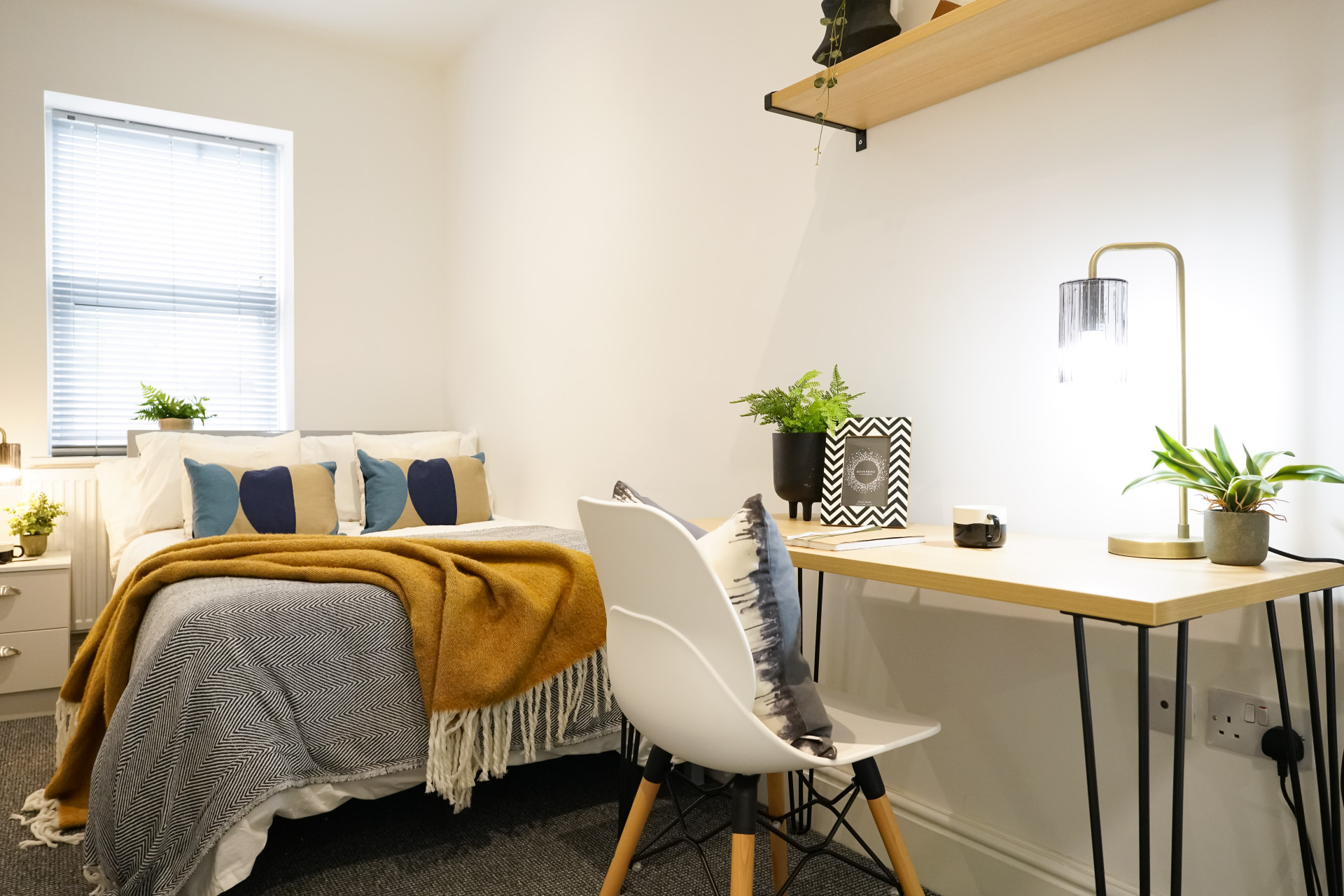  5 Bedroom House (14 Driffield Street)  -  Driffield Street  - Gallery -  3
