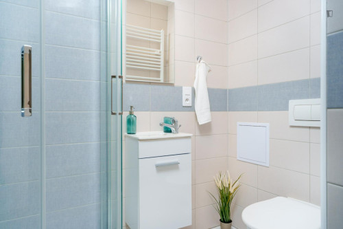 Bright studio in Prague