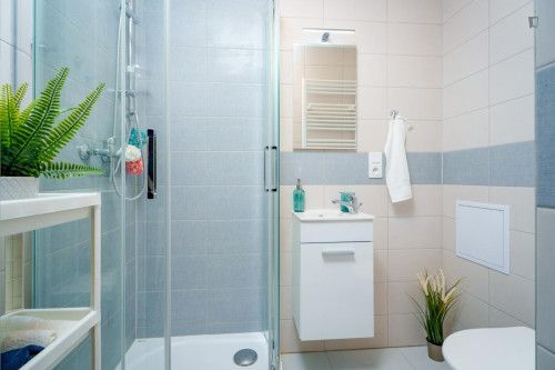 Bright studio in Prague