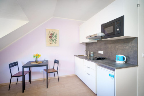 Bright studio in Prague