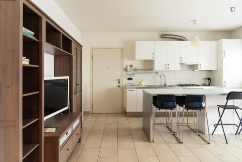 Appealing 1-bedroom flat next to the Forlanini train and metro station
