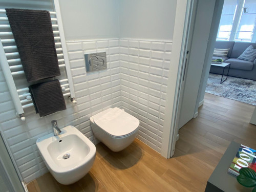 Very neat 1 bedroom apartment near Corvetto metro