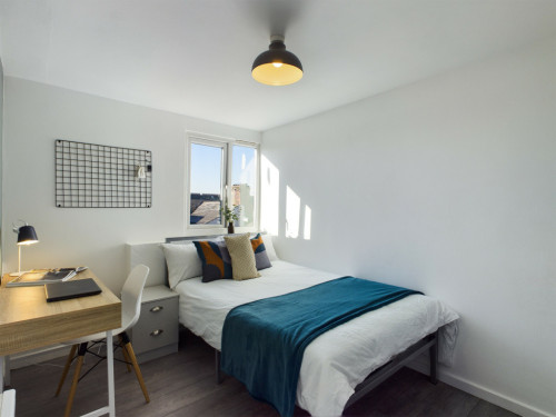 Haydn Avenue - Gallery - 7