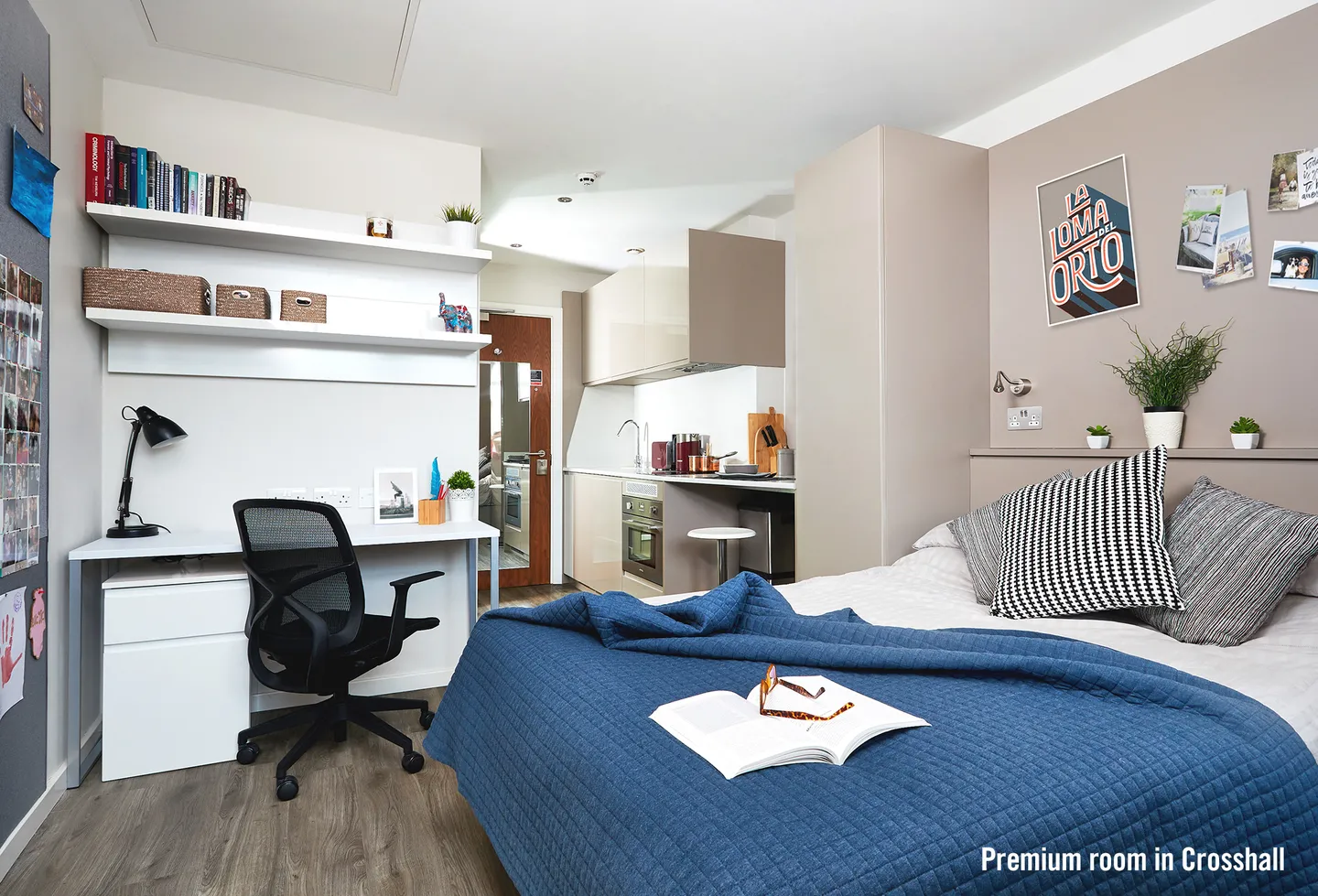  Premium Plus Studio  -  The Tinlings  - Gallery -  1