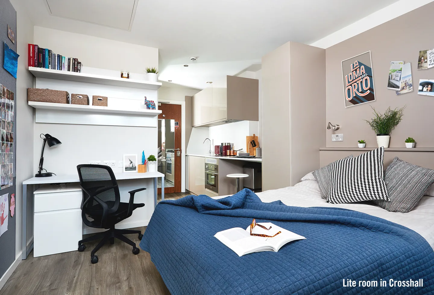  Premium Plus Studio  -  The Tinlings  - Gallery -  2