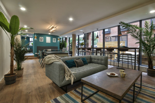 Ocean View - Gallery - 11