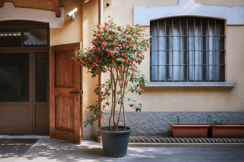 Quiet two-room apartment in Porta Romana