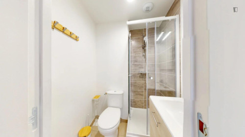 Neat single ensuite bedroom near Parc Chambovet