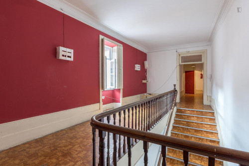 Pleasant double bedroom not far from Escola Superior de Enfermagem de Santa Maria - Gallery - 16