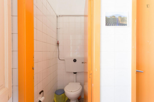 Pleasant double bedroom not far from Escola Superior de Enfermagem de Santa Maria - Gallery - 10