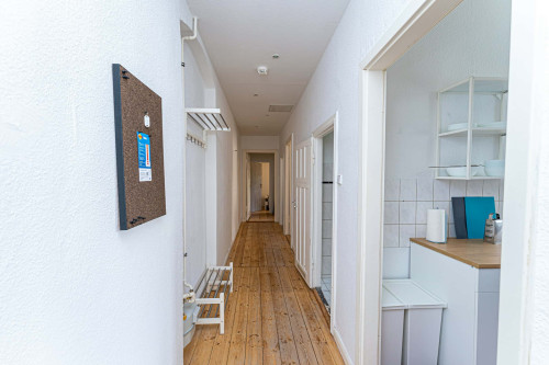 Zechliner Straße 66.2  - Gallery -  5