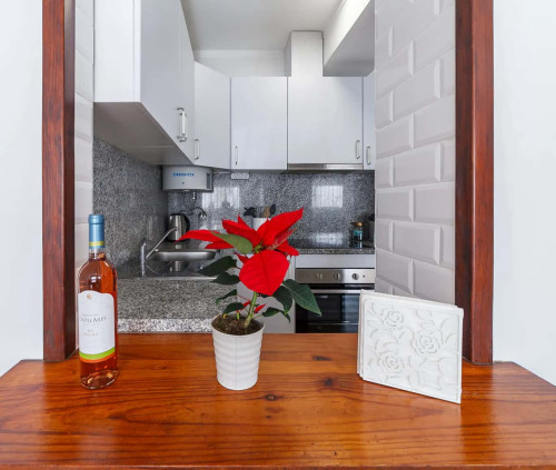 Spacious 2-bedroom Apartment in Aveiro