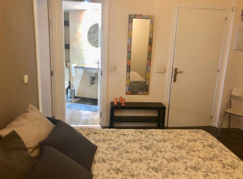 Cozy 1-bedroom apartment in the heart of Sol