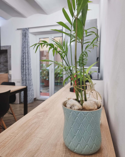 Appartamento in Via Giovan Battista Niccolini, Firenze di 65 m² - Gallery - 13