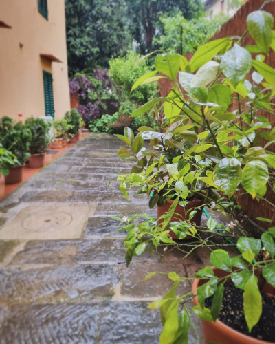 Appartamento in Via Giovan Battista Niccolini, Firenze di 65 m² - Gallery - 3