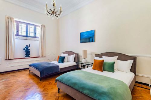 Rua Dom Afonso Henriques - Gallery - 59