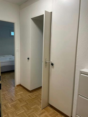 Wettingerwies, Zürich