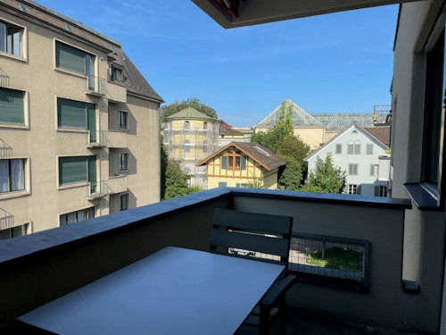 Wettingerwies, Zürich