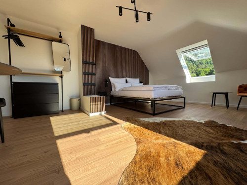 Apartment in Grillparzerstraße, Freiburg im Breisgau for 32 m² - Gallery - 11