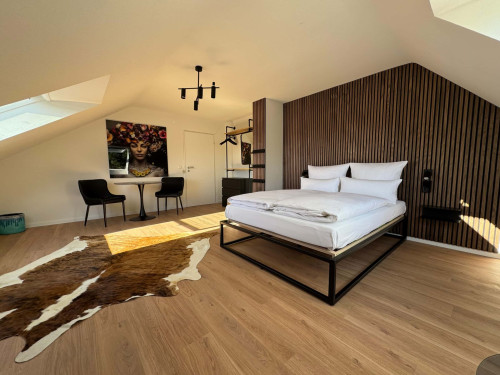 Apartment in Grillparzerstraße, Freiburg im Breisgau for 32 m² - Gallery - 12