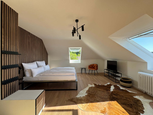 Apartment in Grillparzerstraße, Freiburg im Breisgau for 32 m² - Gallery - 13