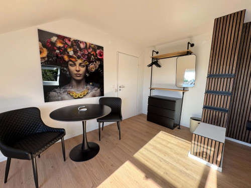 Apartment in Grillparzerstraße, Freiburg im Breisgau for 32 m² - Gallery - 20