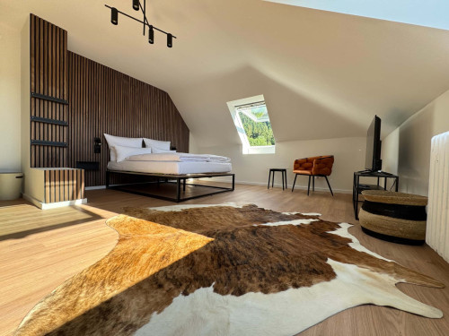 Apartment in Grillparzerstraße, Freiburg im Breisgau for 32 m² - Gallery - 22